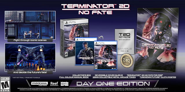 Terminator 2D: NO FATE