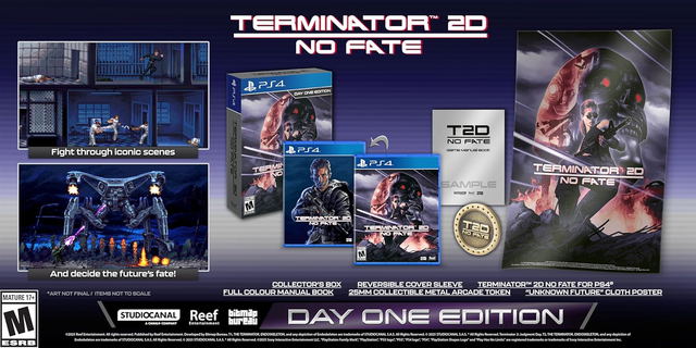 Terminator 2D: NO FATE