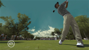 Tiger Woods PGA Tour 08 (DVD ROM)