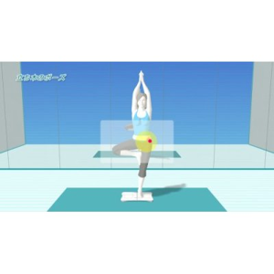 Wii Fit (w/ Wii Board)