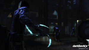 Dark Sector