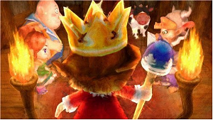 The Little King's Story