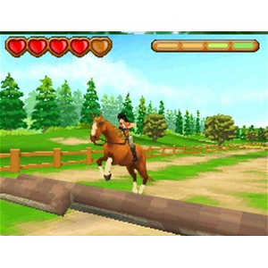 Ener-G Horse Rider