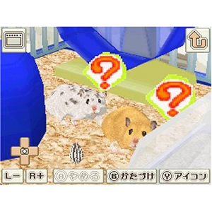 Hamster to Kurasou (Best Price)