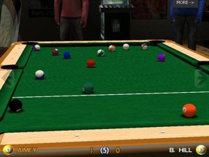 Pool Hall Pro (DVD-ROM)