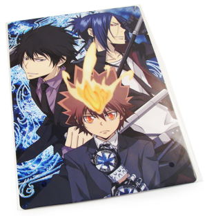 Katekyoo Hitman Reborn! DS Ore Ga Bosu! Saikyou Famiri Taisen [Limited Edition Premium Box]