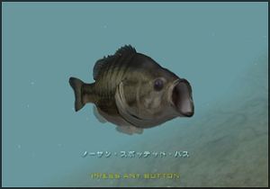 Bass Fishing Wii: World Tournament