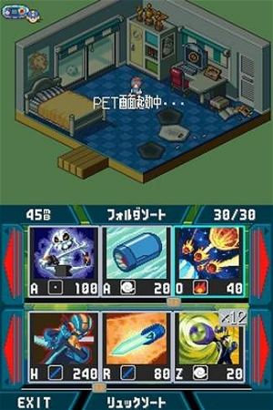 Mega Man Battle Network 5: Double Team