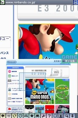 Nintendo DS Browser (NDS Version)