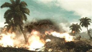 Call of Duty: World at War (Platinum)