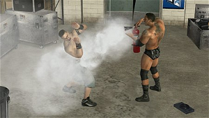 WWE SmackDown vs. Raw 2009 (Platinum)