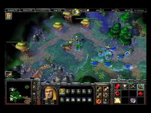 WarCraft III: Reign of Chaos (Gold Edition) (DVD-ROM)