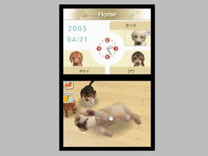 Nintendogs: Chihuahua & Friends