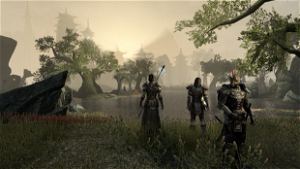 The Elder Scrolls Online (DVD-ROM)