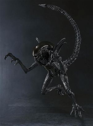 S.H.MonstertArts Alien vs. Predator Pre-Painted Figure: Alien Warrior