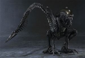 S.H.MonstertArts Alien vs. Predator Pre-Painted Figure: Alien Warrior