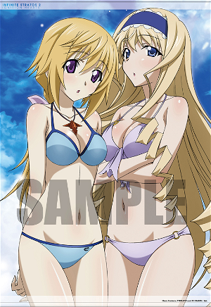 Infinite Stratos 2: Ignition Hearts [Famitsu DX Pack]