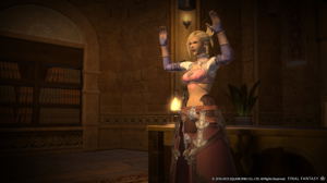 Final Fantasy XIV Online: A Realm Reborn (Collector's Edition)