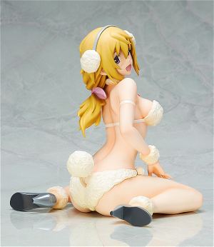 IS (Infinite Stratos): Charlotte Dunois Poodle Ver.