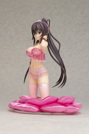 Infinite Stratos Dream Tech: Lingerie Style Shinonono Houki (Animaru! Limited Ver.)