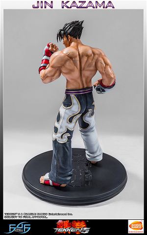 Tekken 5 1/4 Scale Statue: Jin Kazama