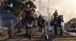 The Elder Scrolls Online: Morrowind (DVD-ROM)