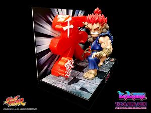 Street Fighter T.N.C 00: Akuma/Gouki