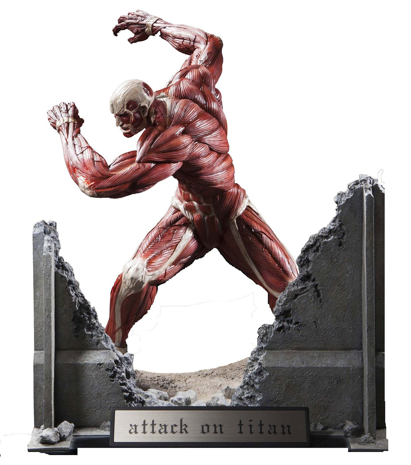 Attack On Titan Ultimate Modeling Collection Fi