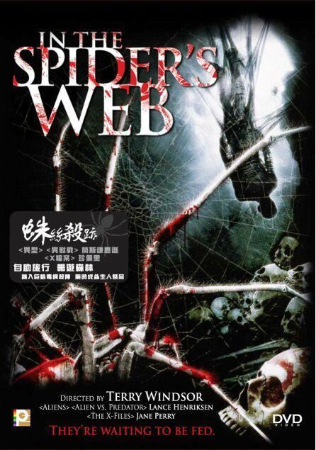 The Spider`S Web [1960]