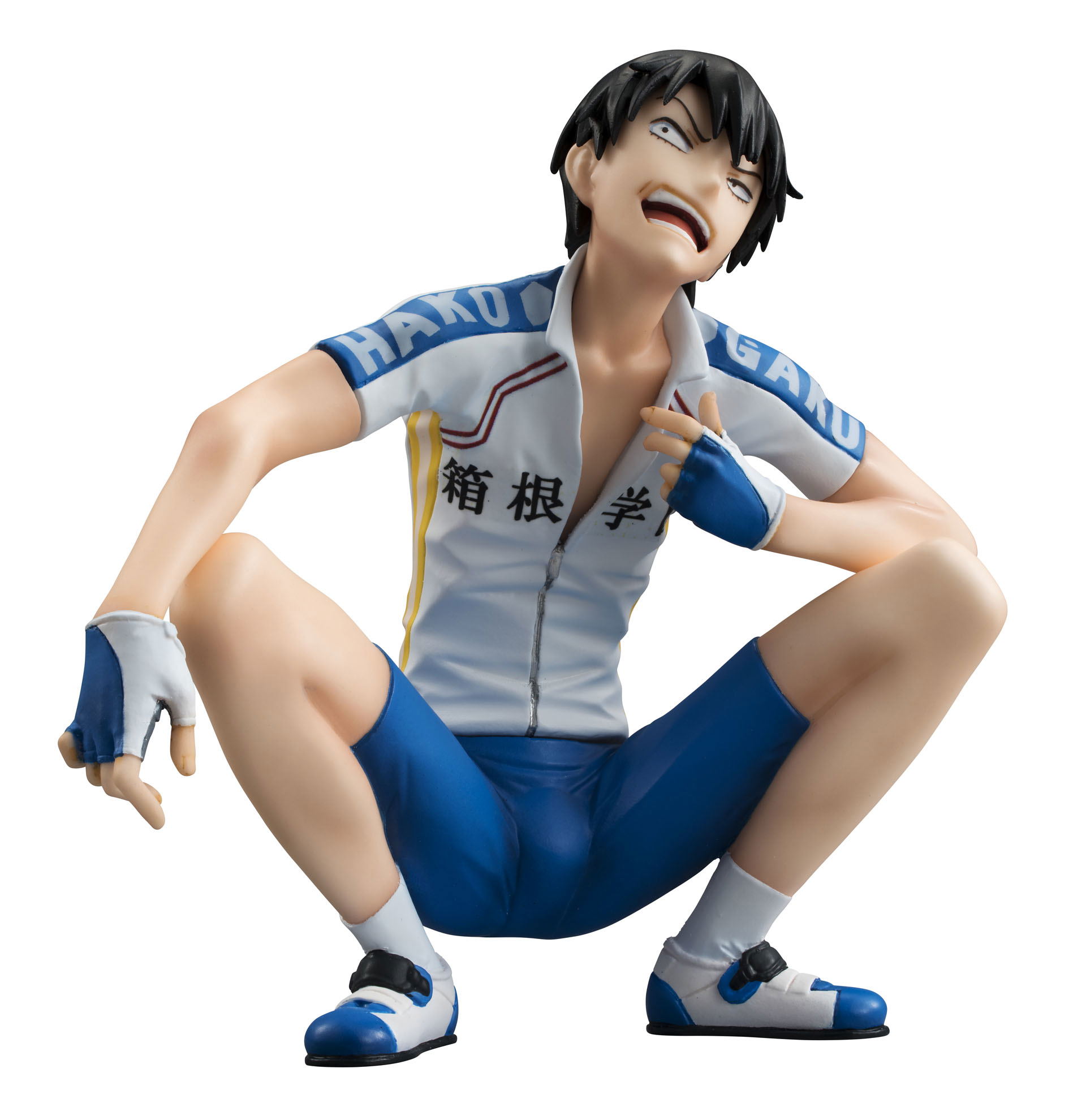 Palmate Series Yowamushi Pedal Grande Road 1 12 Scale Pre Painted Pvc Figure Arakita Yasutomo