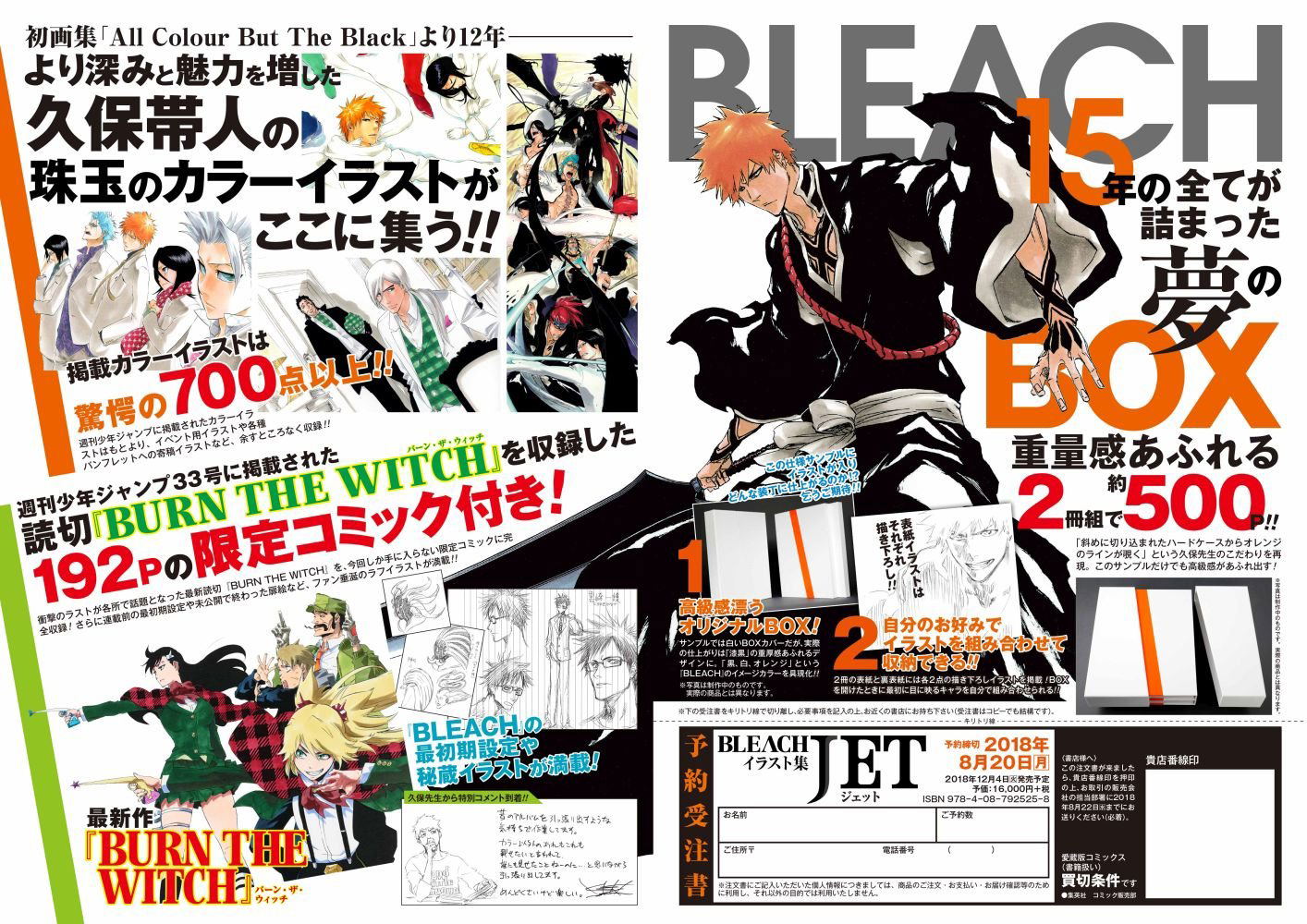 Bleach Illustrations Book Jet