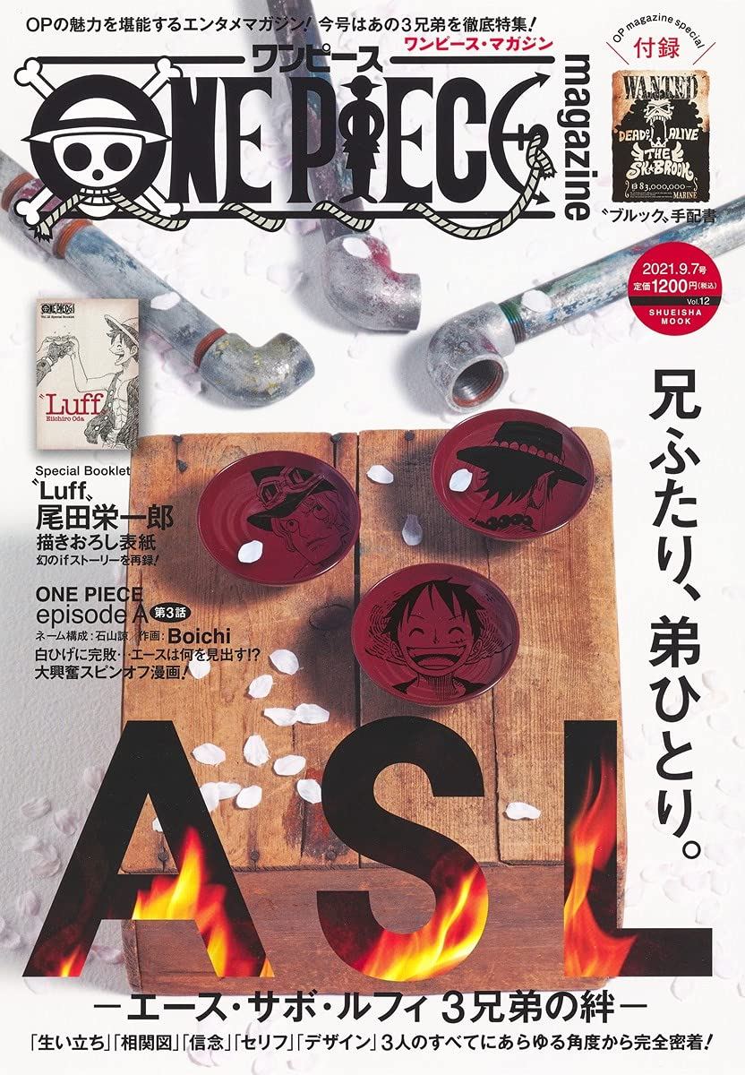 One Piece Magazine Vol 12