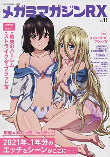 Megami Magazine Rx Vol 11 January 22 Issue