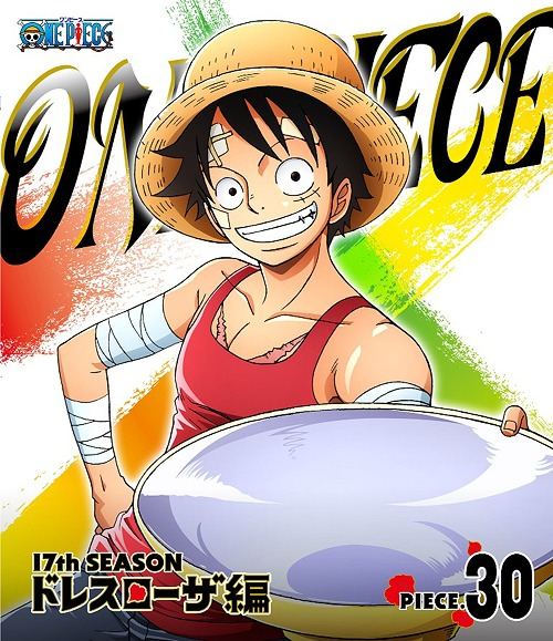One Piece 17th Season Dressrosa Hen Piece 30