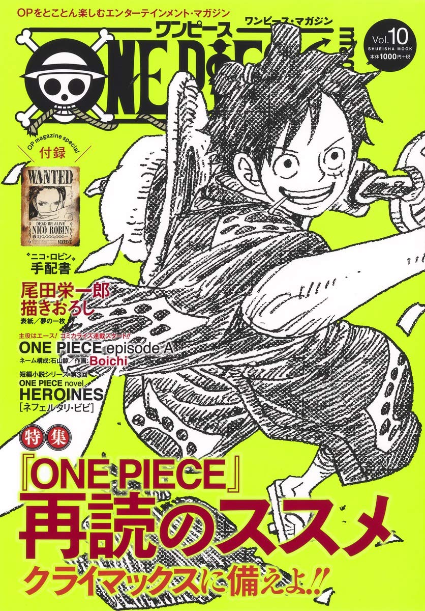 One Piece Magazine Vol 10