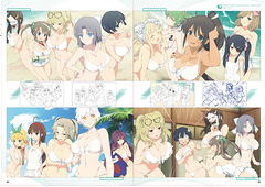 Senran Kagura Peach Beach Splash Official Illustration Collection