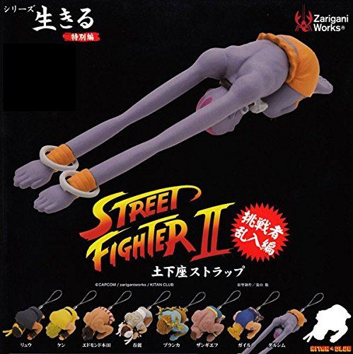 Street Fighter II: Kneeling on Ground Strap 2.0 (Random Single)