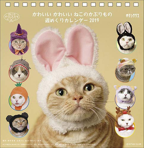 Kawaii Kawaii Neko No Kaburimono 19 Desktop Calendar