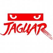 Atari Jaguar™