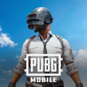 PUBG Mobile (CN)