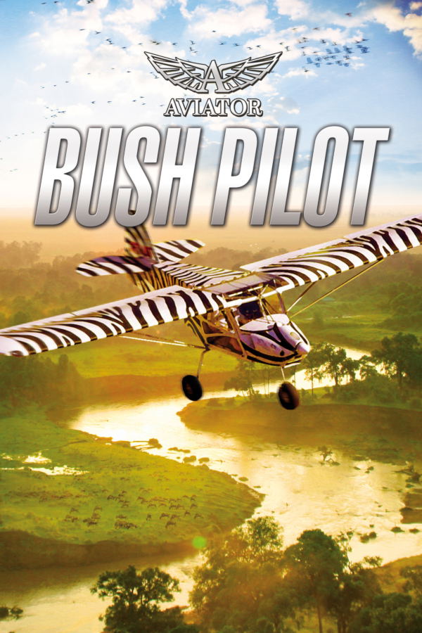 Aviator: Bush Pilot STEAM digital — Import Game Deal