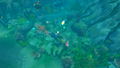 Terrarium Land <span class="ext" style="background-color: #2a475e; color: #FFFFFF;">STEAM</span> <span class="ext ext_digital">digital</span> thumbnail 8