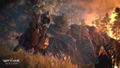The Witcher 3: Wild Hunt <span class="ext" style="background-color: #581c6c; color: #FFFFFF;">GOG.com</span> <span class="ext ext_digital">digital</span> thumbnail 15