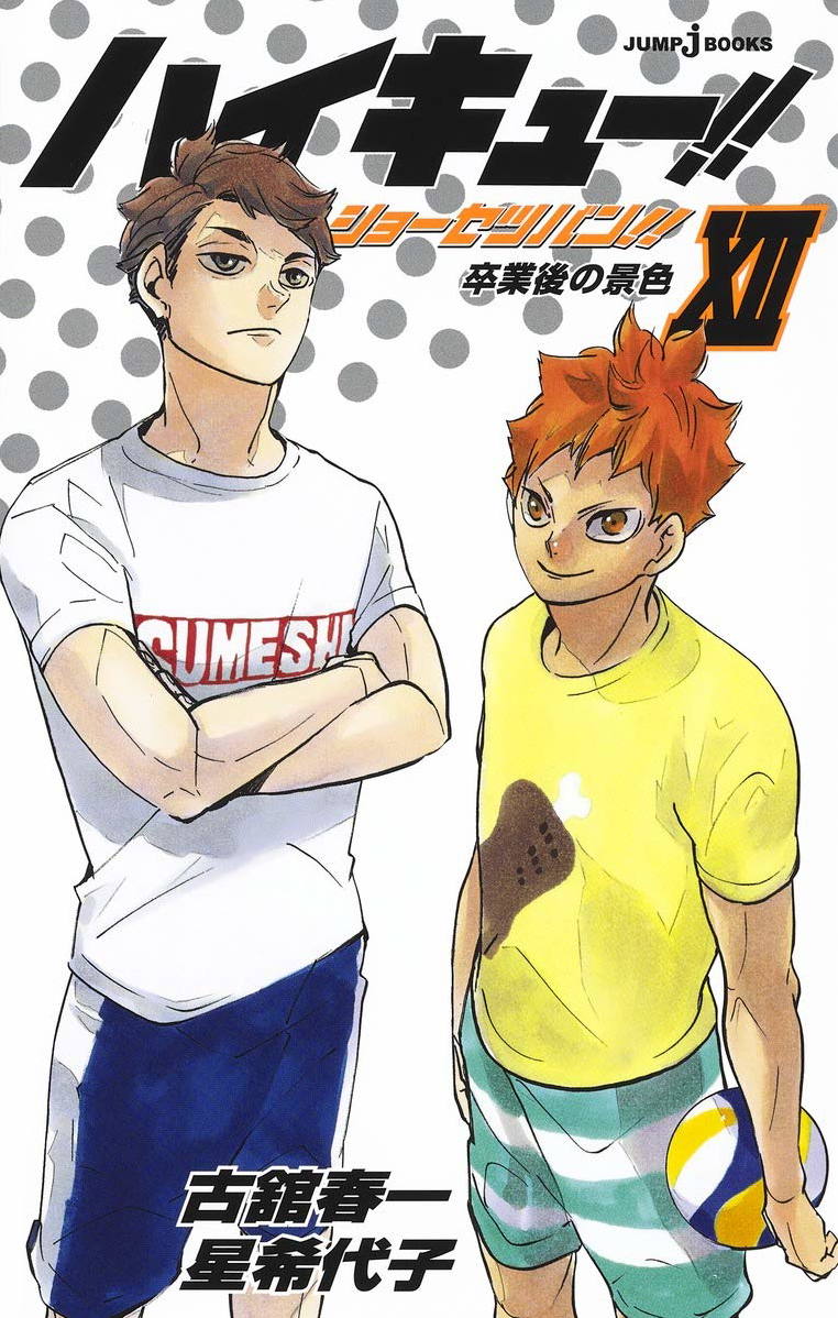 Haikyuu!! Shousetsu-ban!! 12 Light Novel