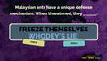 The Jackbox Party Pack 2 <span class="ext" style="background-color: #2a475e; color: #FFFFFF;">STEAM</span> <span class="ext ext_digital">digital</span> thumbnail 5