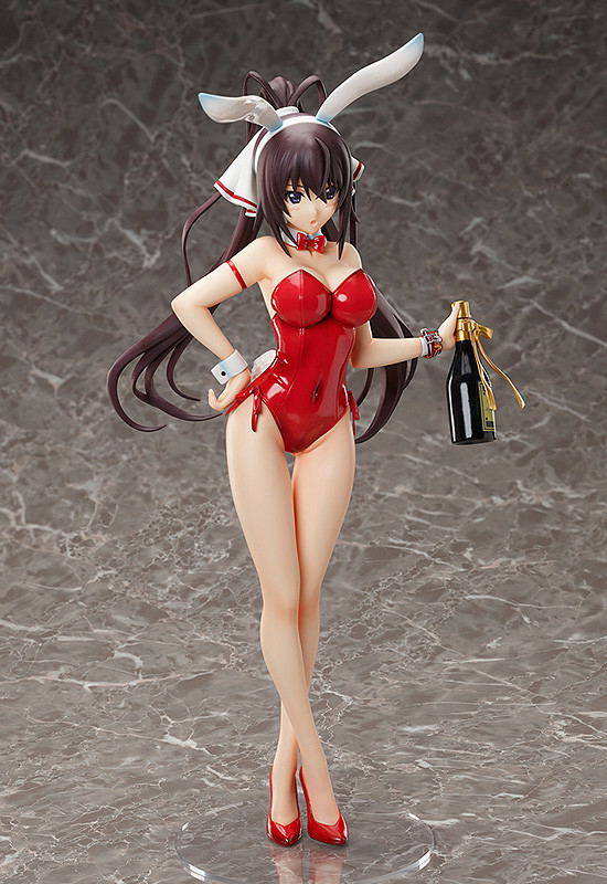 IS (Infinite Stratos) 1/4 Scale Pre-Painted Figure: Houki Shinonono Bare Leg Bunny Ver. image 3