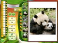 Wildlife Creative Studio <span class="ext" style="background-color: #2a475e; color: #FFFFFF;">STEAM</span> <span class="ext ext_digital">digital</span> thumbnail 11