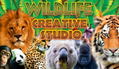 Wildlife Creative Studio <span class="ext" style="background-color: #2a475e; color: #FFFFFF;">STEAM</span> <span class="ext ext_digital">digital</span> thumbnail 1