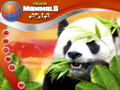 Wildlife Creative Studio <span class="ext" style="background-color: #2a475e; color: #FFFFFF;">STEAM</span> <span class="ext ext_digital">digital</span> thumbnail 2