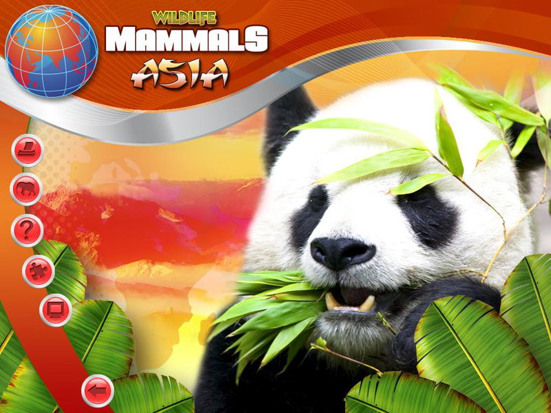 Wildlife Creative Studio <span class="ext" style="background-color: #2a475e; color: #FFFFFF;">STEAM</span> <span class="ext ext_digital">digital</span> image 2